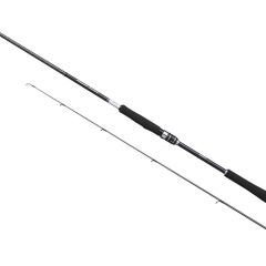 Shimano Moonshot Spinning Inshore S96MH 290 cm Plug:10-52 gr Jig:Max60 gr Light Shore Jig Kamışı