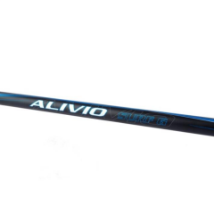 Shimano Alivio G Surf Tubular 4,25m 225g 3pc