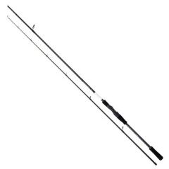 Shimano Bassterra XT+ Spin Sea Bass 2,44m 80'' 4-21