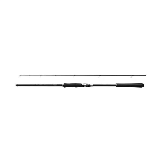 Rod Salty Advance Spinning SeaBass2,90m 9'6''8-45g