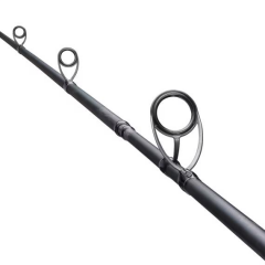 Rod Salty Advance Spinning SeaBass2,74m 9'0''6-32g