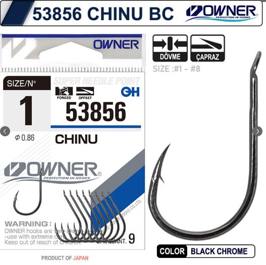 Owner 53856 Chinu BC