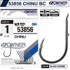 Owner 53856 Chinu BC