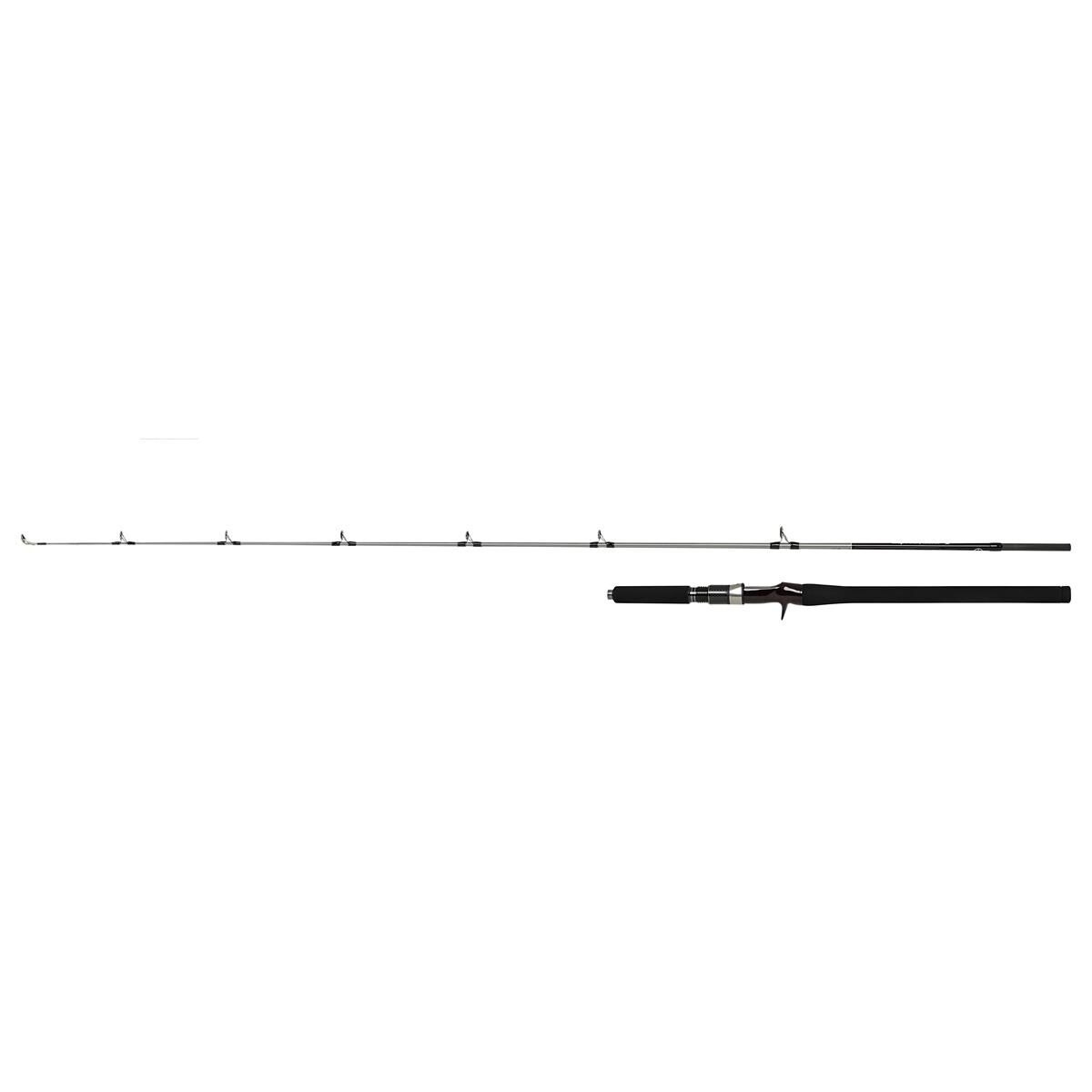 Shimano Speedmaster R Jigging Cast 210 Gr 174 Cm