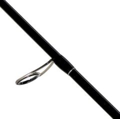 Shimano Bassterra A Seabass Spinning 2,90m 15-60