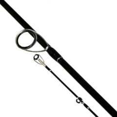 Shimano Bassterra A Seabass Spinning 2,90m 15-60