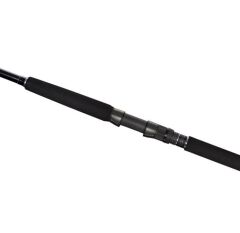 Currentsniper BB Shore Jigging3,05m 100'' 85g JIG10