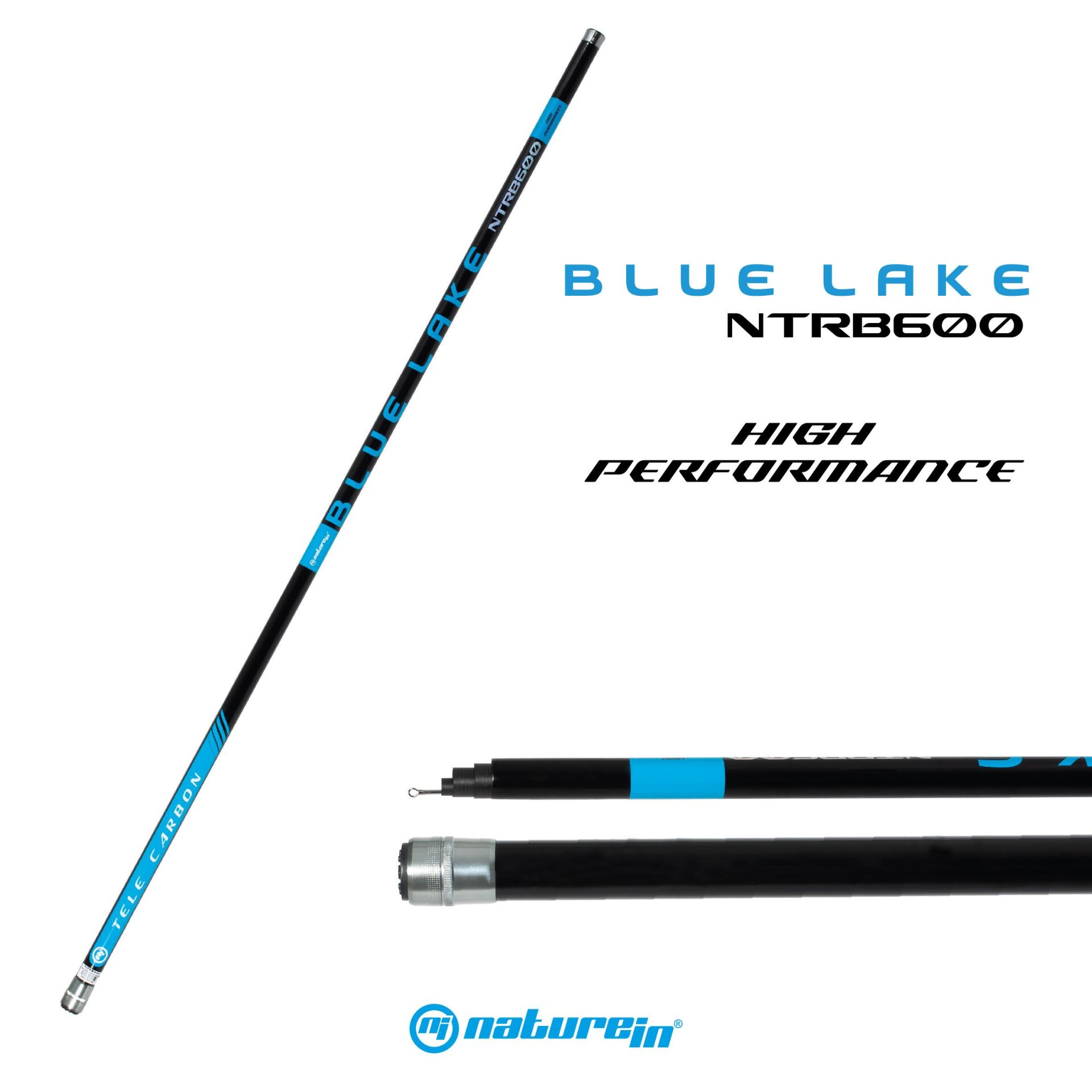 Nature In Blue Lake 600 Göl Kamışı