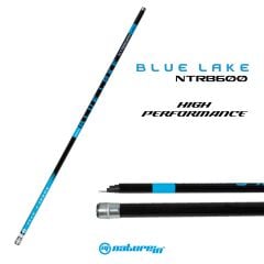 Nature In Blue Lake 600 Göl Kamışı