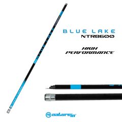 Nature In Blue Lake 600 Göl Kamışı